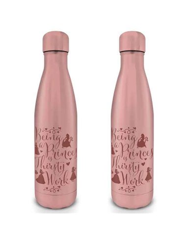 Disney Princess (thirsty Work) Metal Drinks Bottle