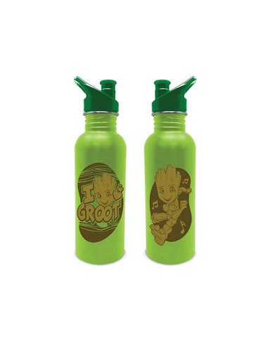 Marvel (groot) Metal Canteen Bottle