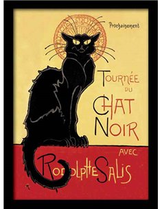 Chat Noir Poster Framed