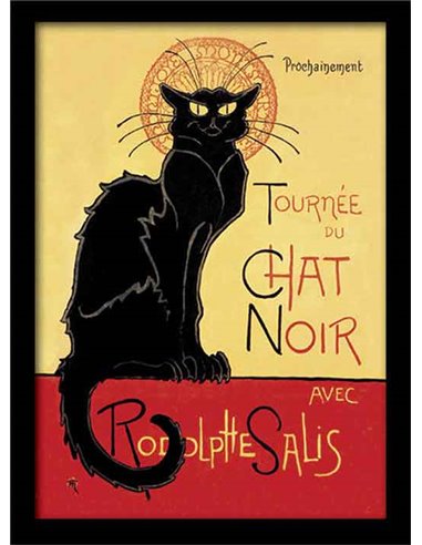 Chat Noir Poster Framed