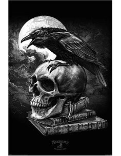 Alchemy (poe's Raven) Maxi Poster