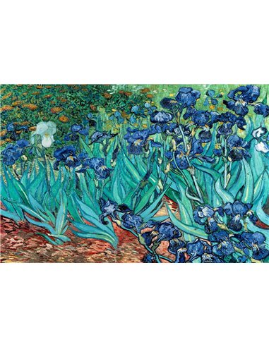 Van Gogh (les Irises) Maxi Poster