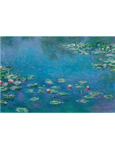 Claude Monet (waterlillies) Maxi Poster