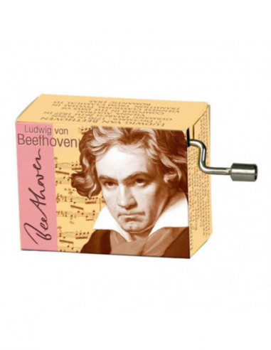 Music Box BeethoveN- For Elise