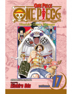 One Piece Vol. 17