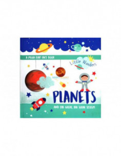 Planets And The Great Big Solar System Mega Flap Fact Book