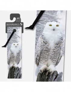 Snowy Owl 3d Bookmark