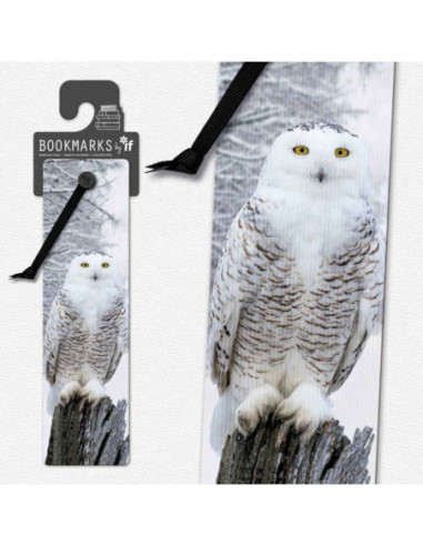Snowy Owl 3d Bookmark