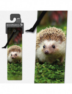 Hedgehog 3d Bookmark