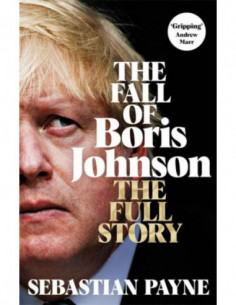 The Fall Of Boris Johnson - The Full Story