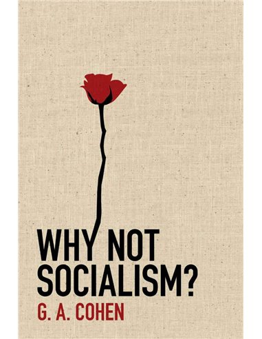 Why Not Socialism?