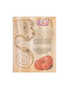 Lily & Tomato Softcover Flexi Ultra Unlined