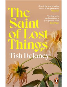 The Saint Of Lost Things