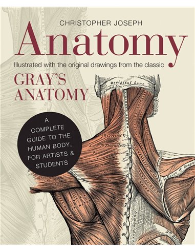 Anatomy - Grey's Anatomy (small)