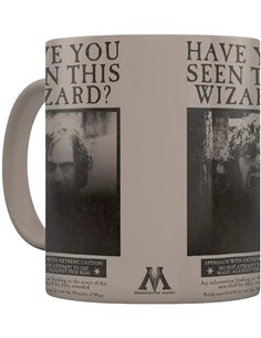 Harry Potter (wanted Sirius Black) Heat Change Mug