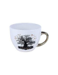 Harry Potter (wanted Sirius Black) Heat Change Mug