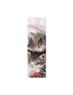 2024 Bookmark Calendar - Kittes - Cats