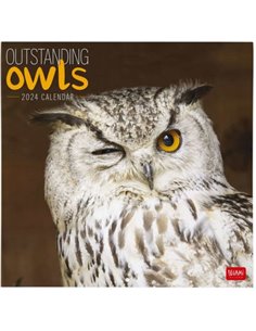 2024 Wall Calendar - Outstanding Owls
