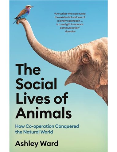 The Social Lives Of Animals