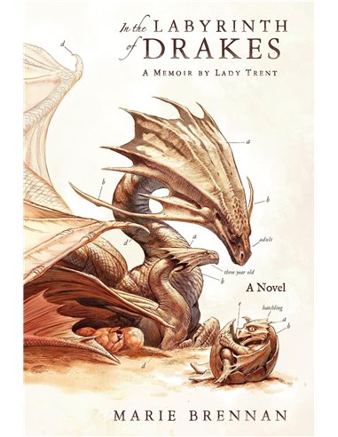 In The Labyrinth Of Drakes - A Memoir By Lady Trent