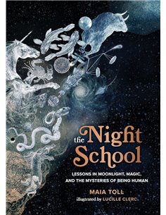 The Night School