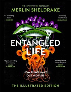 Entangled Life (the Illustrated Edition): A Beautiful New Gift Edition Featuring 100 Illustrations For Christmas 2023