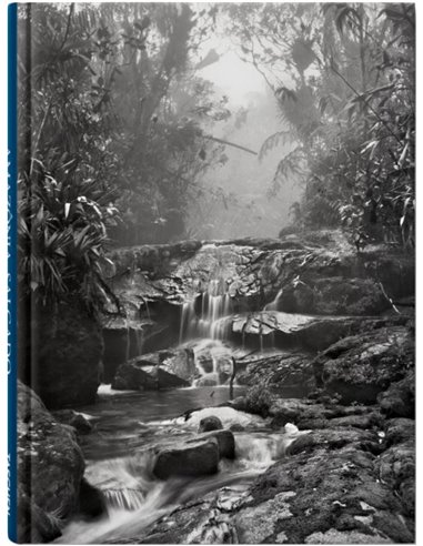 Amazonia Salgado Notebook (creek)