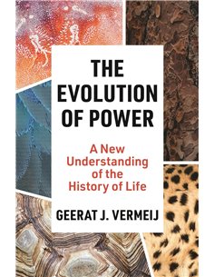 The Evolution Of Power: A New Understanding Of The History Of Life