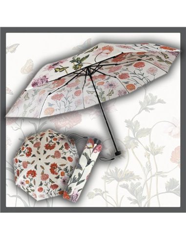 UmbrellA-Maria Sibylla Merian Flowers