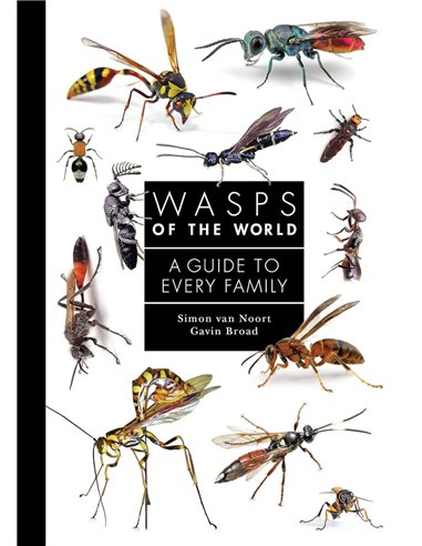 Wasps Of The World: A Guide To Every Family