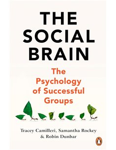 The Social Brain: The Psychology Of Successful Groups