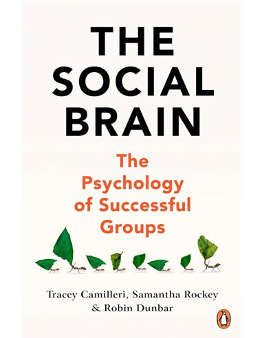The Social Brain: The Psychology Of Successful Groups