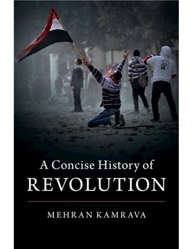 A Concise History Of Revolution