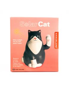 Solar Cat
