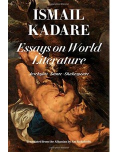 Essays On World Literature