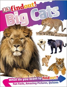 Findout Big Cats