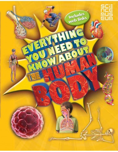 Everything You Need To Know About The Human Body