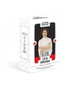 Star Wars - Leila Organa Rebel Leader