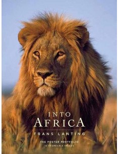 Into Africa Posters