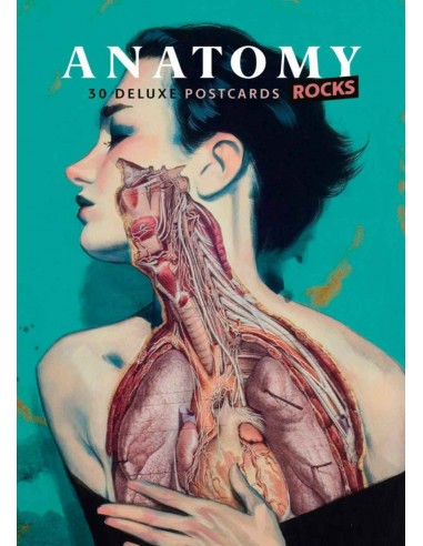 Anatomy Deluxe Postcard