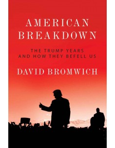 American Breakdown - The Trump Years And How They Befell us