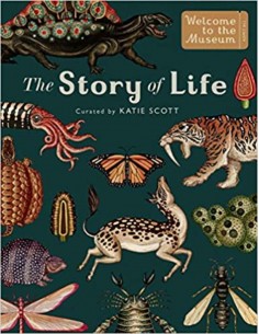 The Story Of Life Evolution