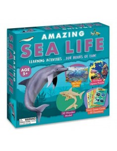 Amazing Activity Set - Sea Life