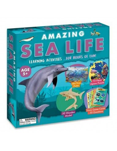Amazing Activity Set - Sea Life
