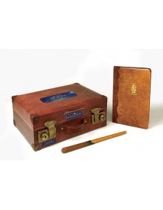 Fantastic Beasts - The Magizoologist's Discovery Case