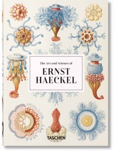 The Art And Science Of Erns Haeckel