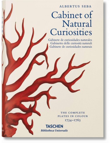 Cabinet Of Natural Curiosities