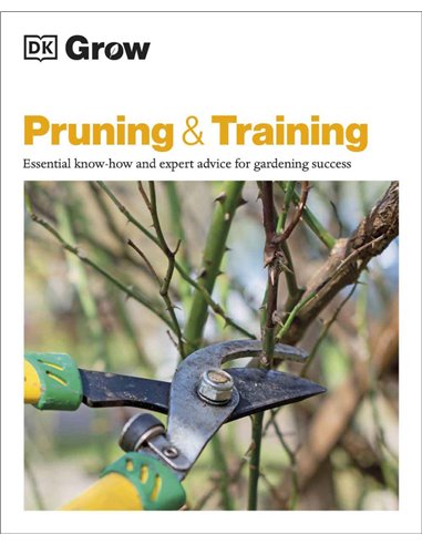 Pruning & Training