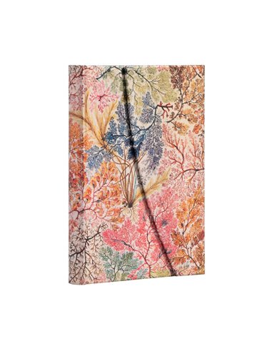 Anemone Midi Lined Notebook