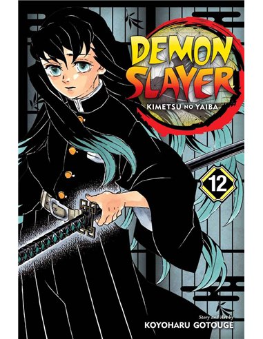 Demon Slayer Vol 12